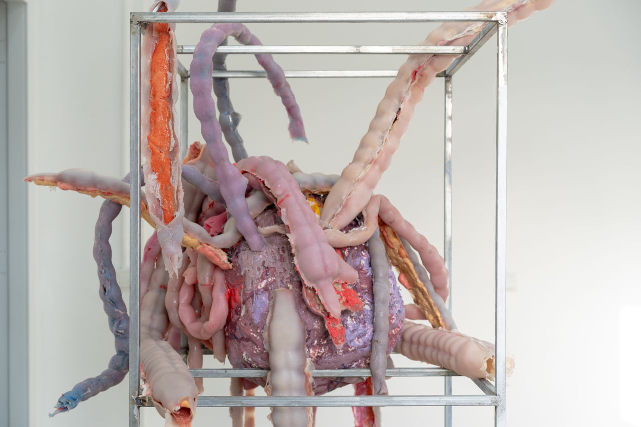 Abschlusspr&auml;sentationen von Or Ariely und Zeno Gries