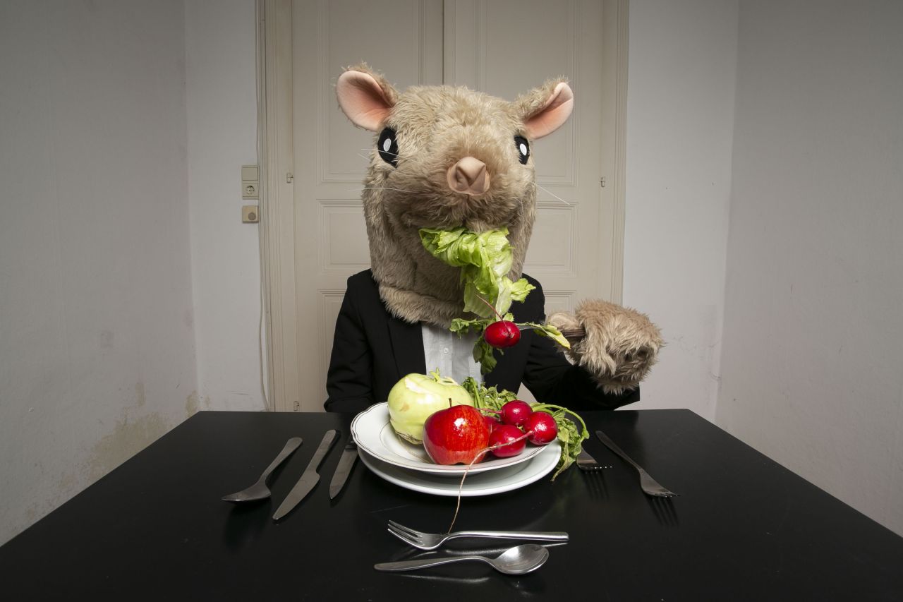 Das Planetenparty Prinzip - Der Hamsterk&auml;fig