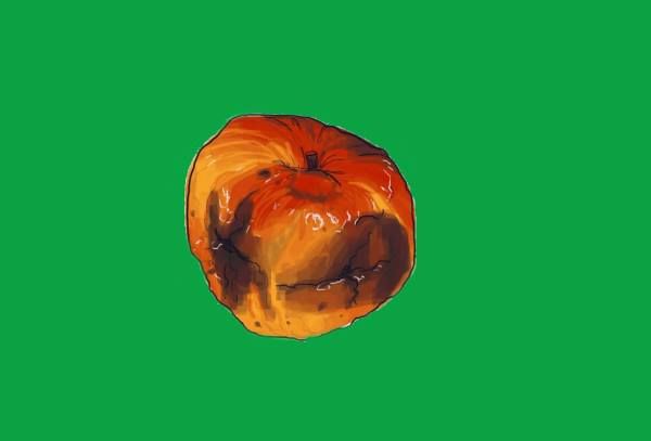 Rechte &Ouml;kologie