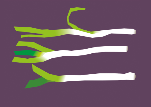 Degrowth Graz