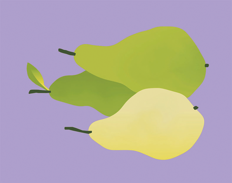 Initiative gegen Bezahlzahrte