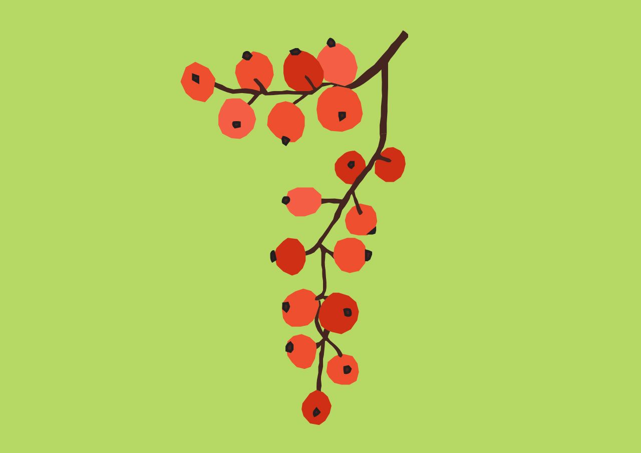 Roter Keil