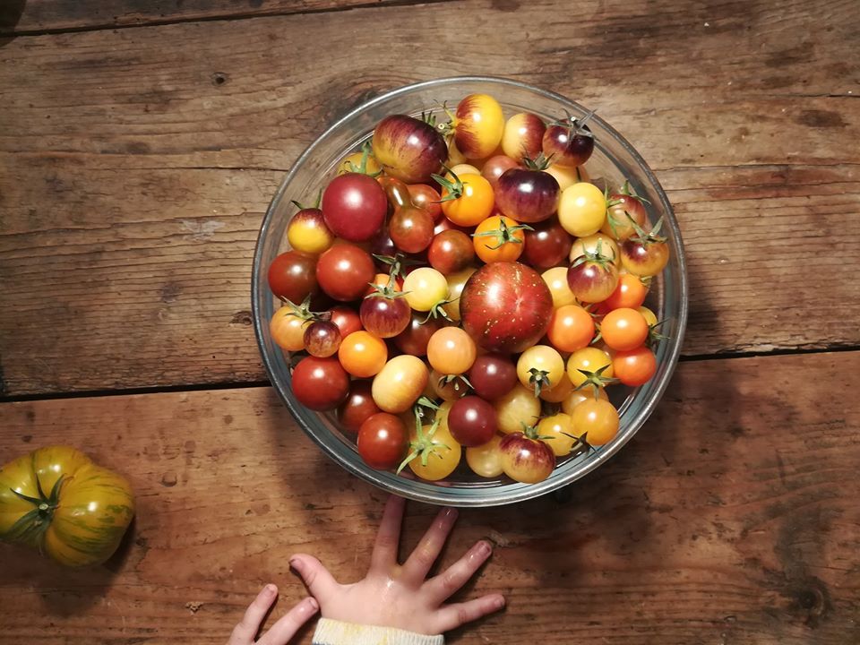 Grazer Saatgutfest 2020