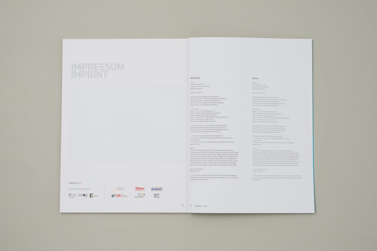 Bernhard Wolf, Arbeiten/Works 2013-2016