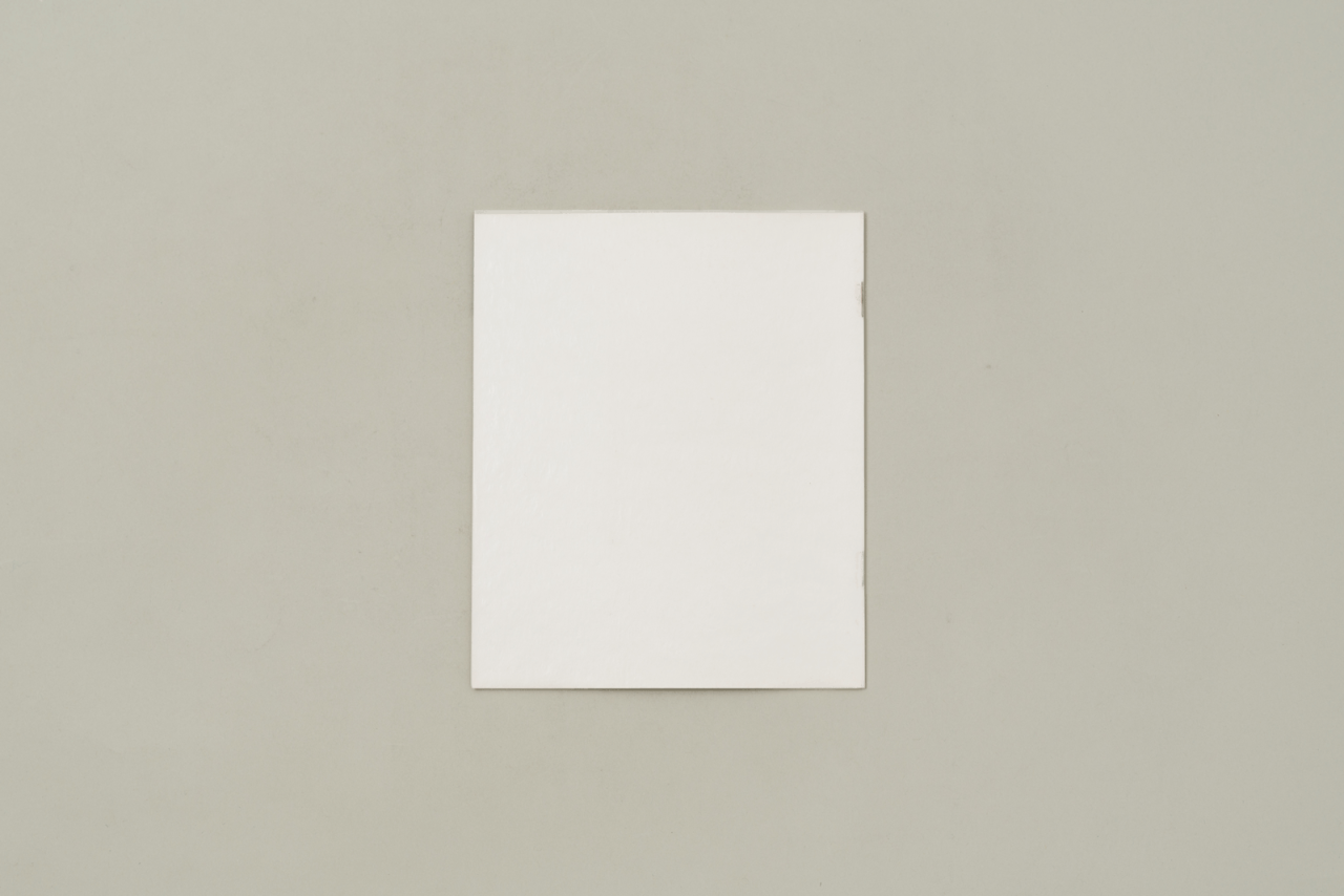 DAS ENDE DES POLITISCHEN. Zur Verwandlung von Politik in Fiktion