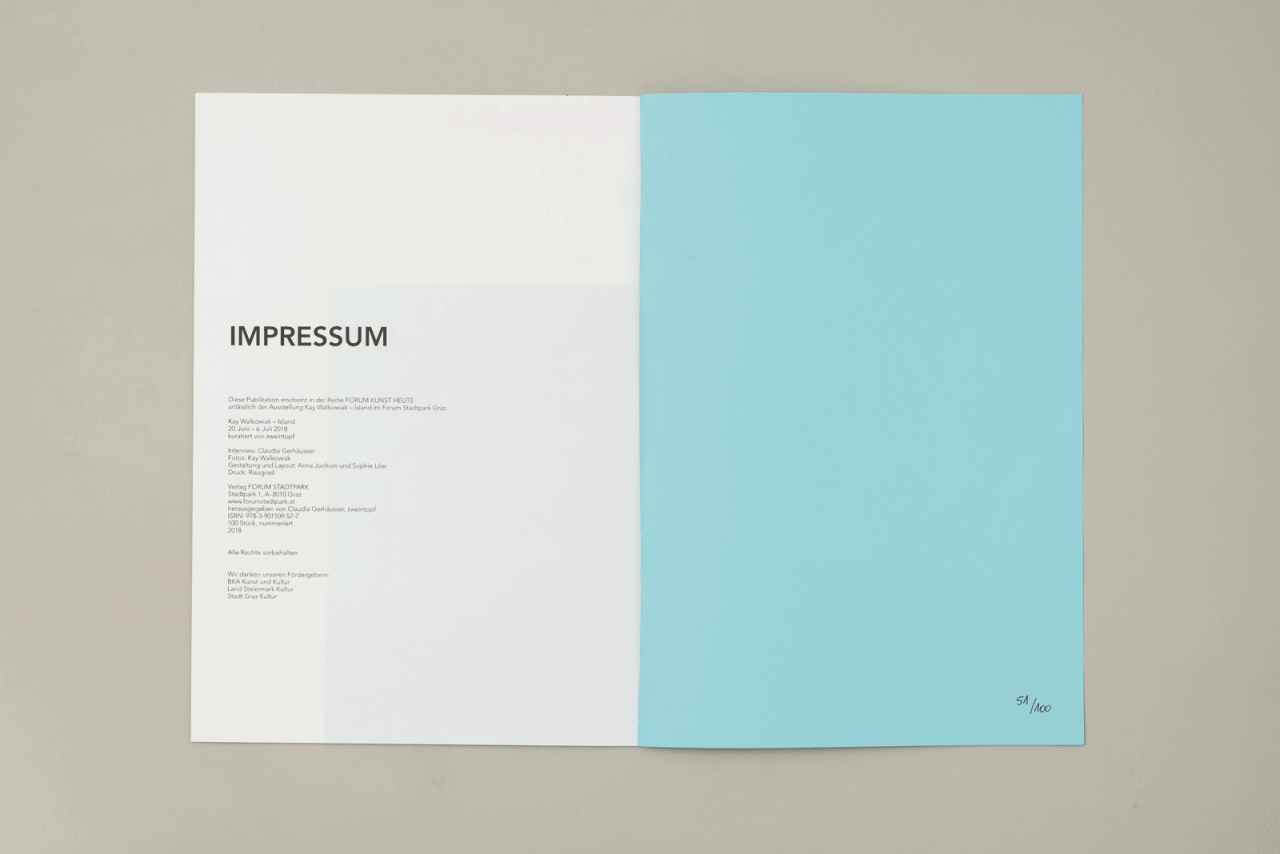 FORUM KUNST HEUTE: Kay Walkowiak - Island