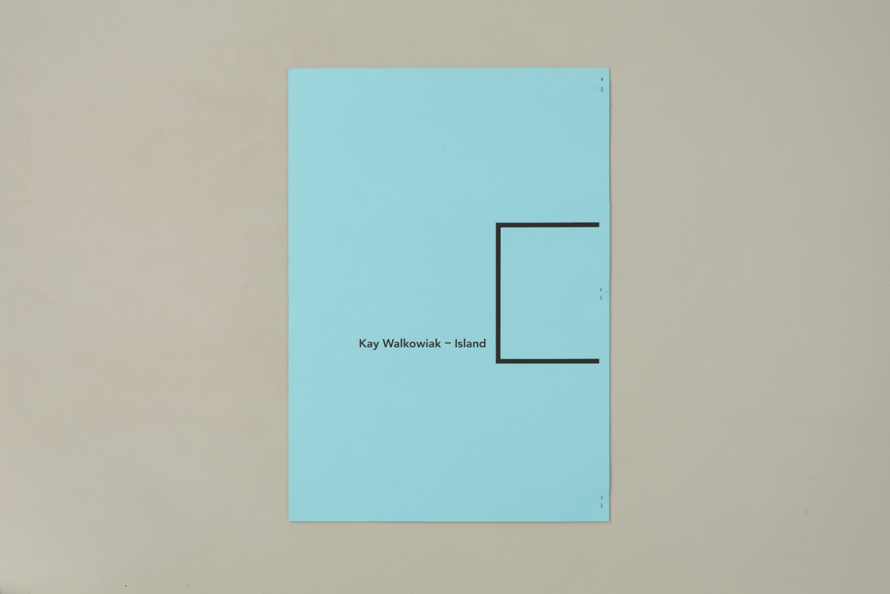 FORUM KUNST HEUTE: Kay Walkowiak - Island