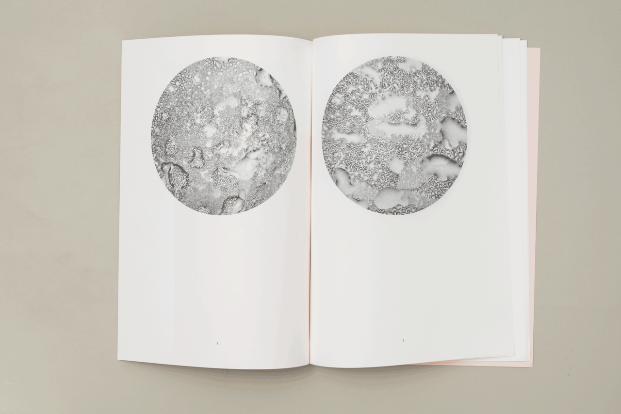 FORUM KUNST HEUTE: Nina Schuiki - Hypochondria Heart