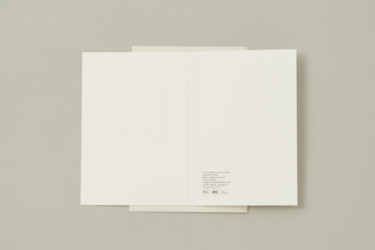 Kopf in der Semmel – Peter Gellner