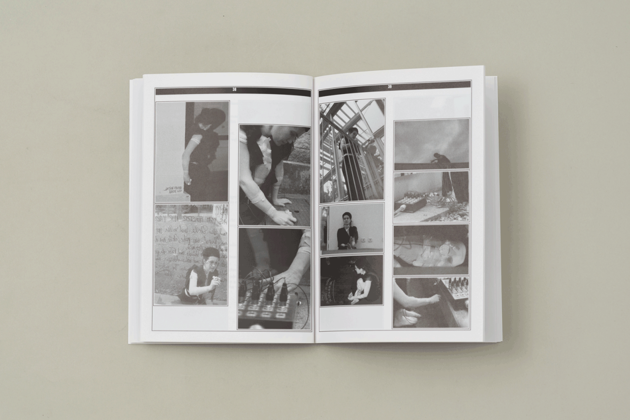 Text Performanz Text. (cooperate and/or defect)