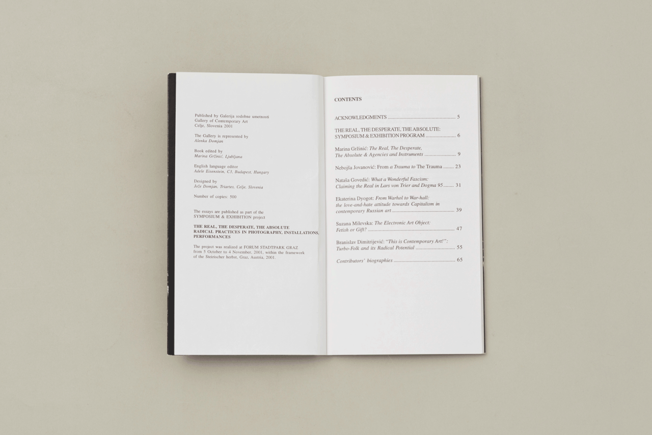 THE REAL, THE DESPERATE, THE ABSOLUTE. RADICAL PRACTICES IN PHOTOGRAPHY, INSTALLATIONS, PERFORMANCES