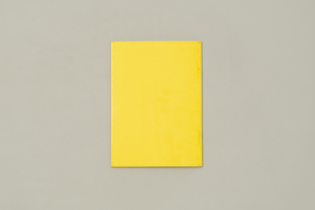 Widerst&auml;nde &ndash; Formen und Fiktionen